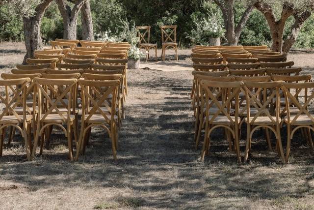 Cérémonie sous les oliviers
