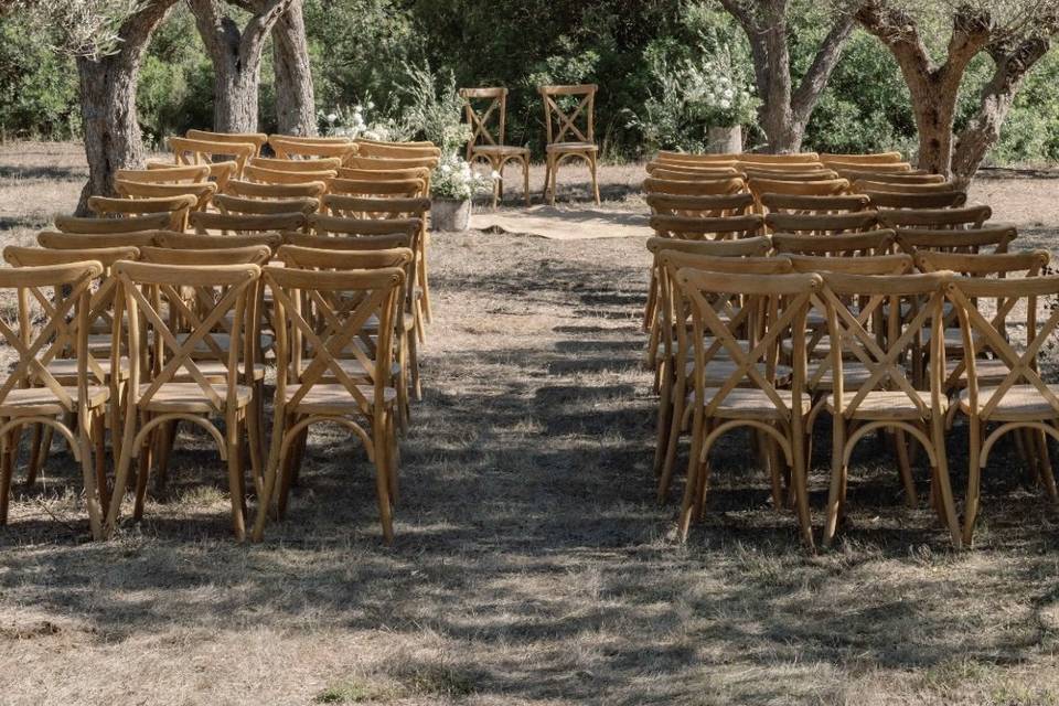 Cérémonie sous les oliviers