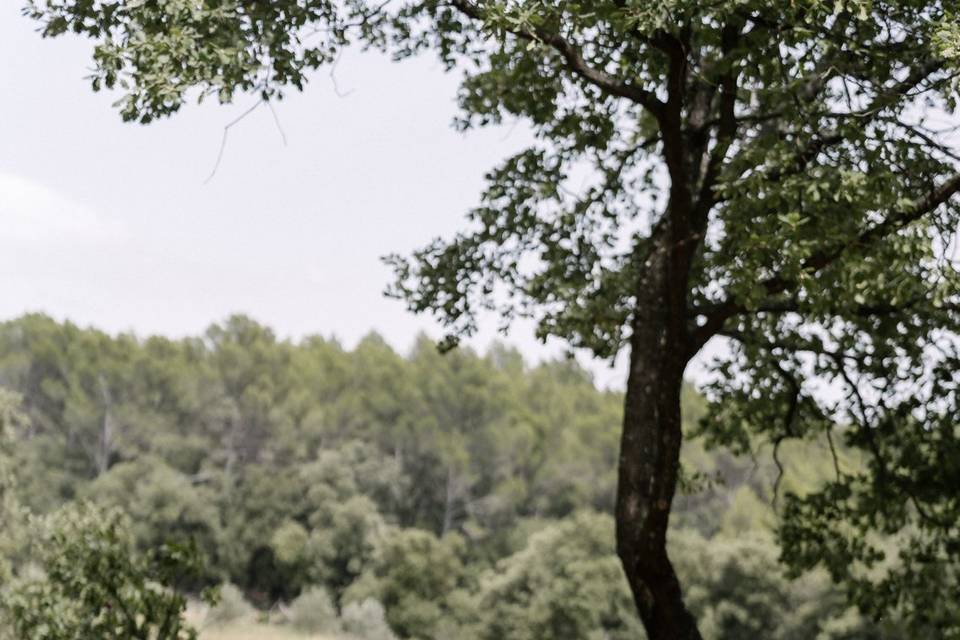 Cérémonie devant les vignes
