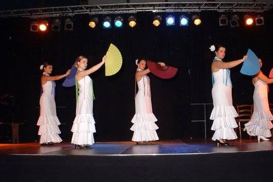 Pasión Flamenca