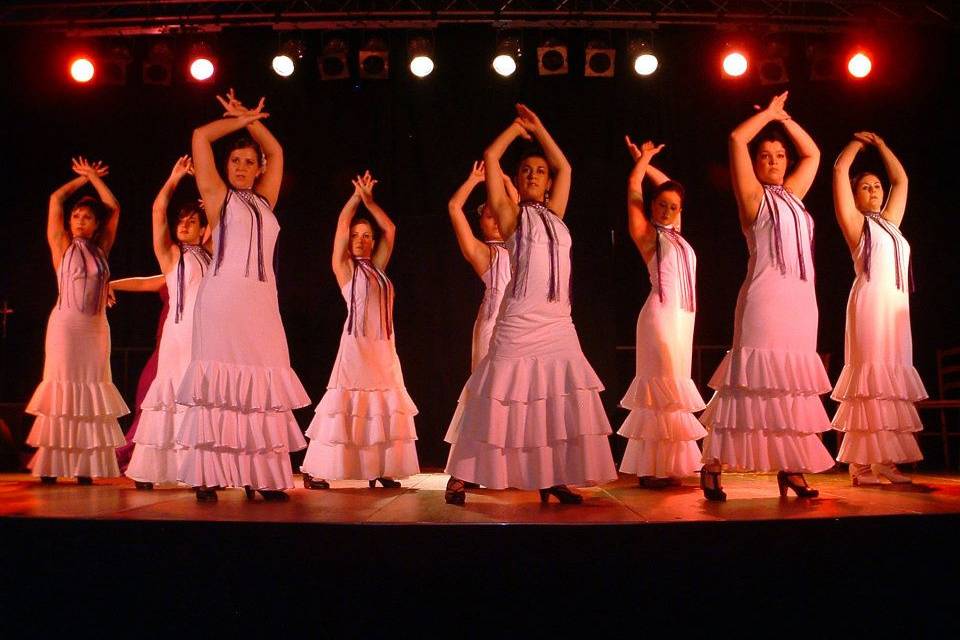 Pasión Flamenca