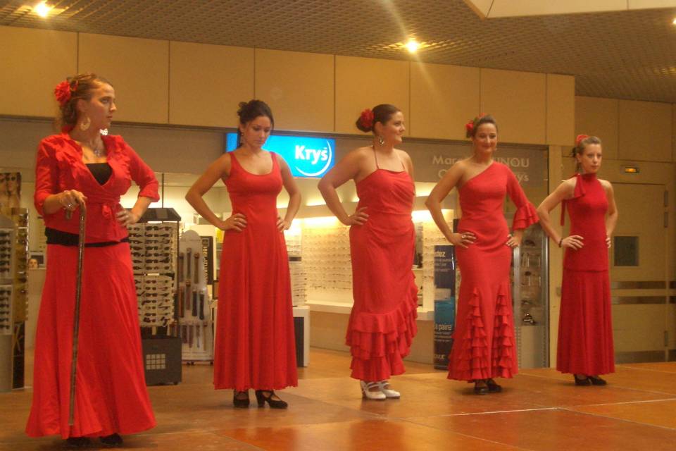 Pasión Flamenca