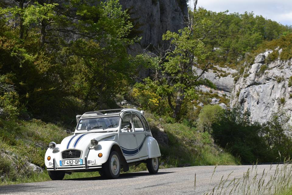 Fanny 2cv blanche et bleue