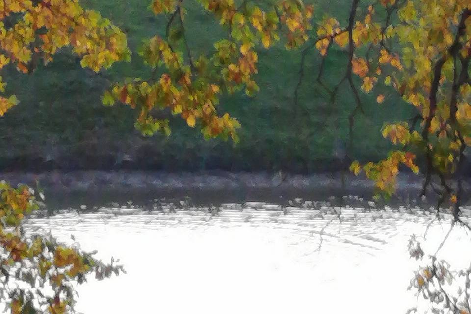 Le lac en automne