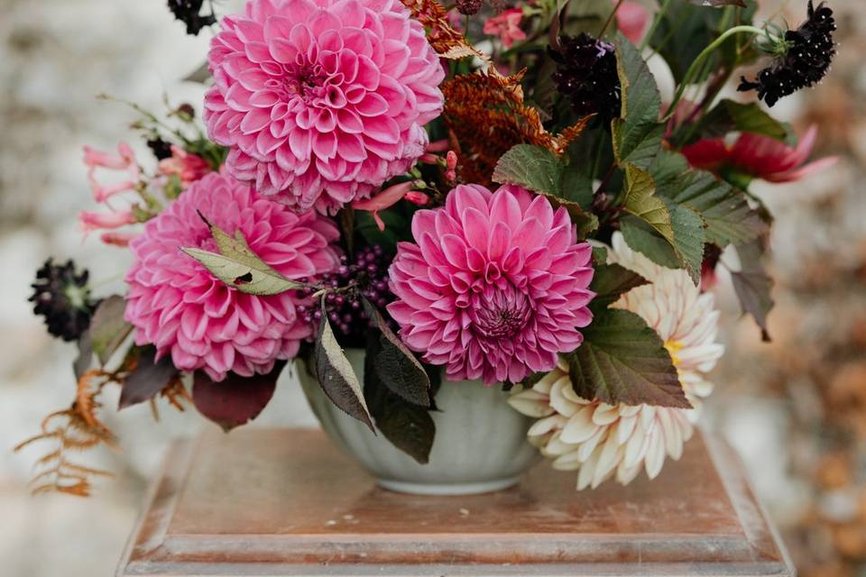 Peonia