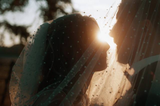 Squirrel Mariage Film