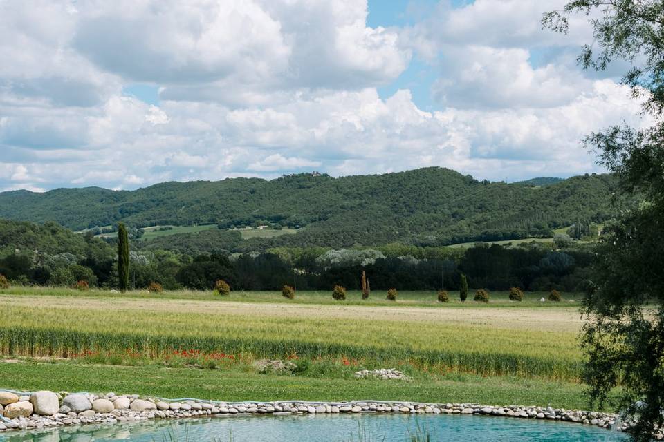 Domaine de la Barbeirasse