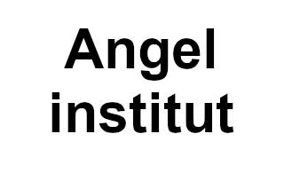 Angel institut