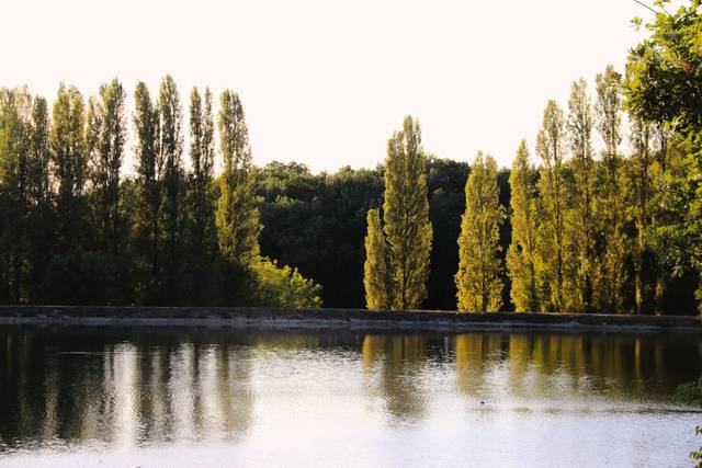 Vue sur le lac