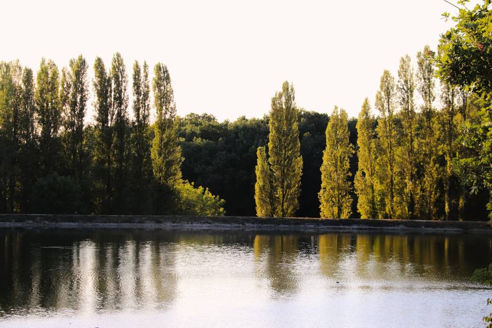 Vue sur le lac