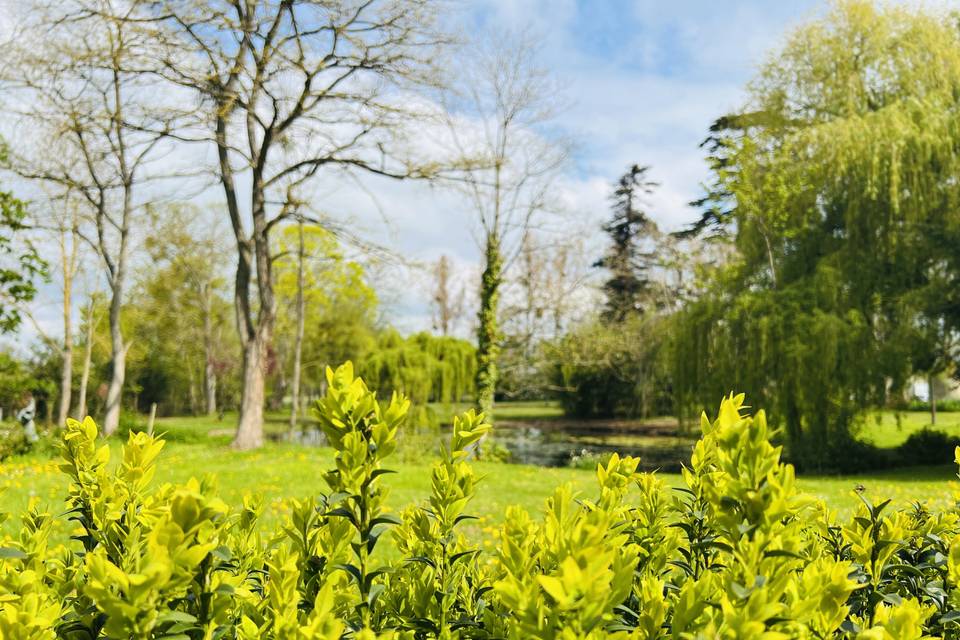 Parc arboré manoir