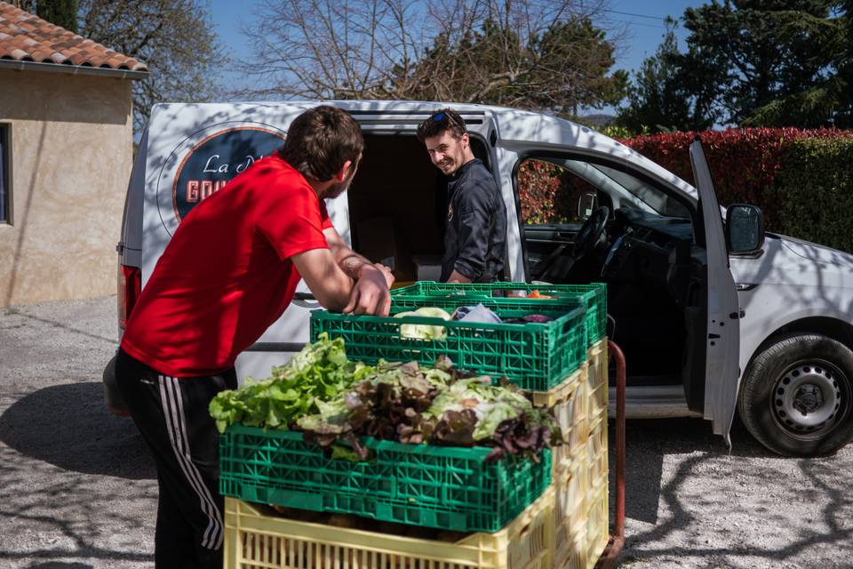 Les jolies légumes de la ferme