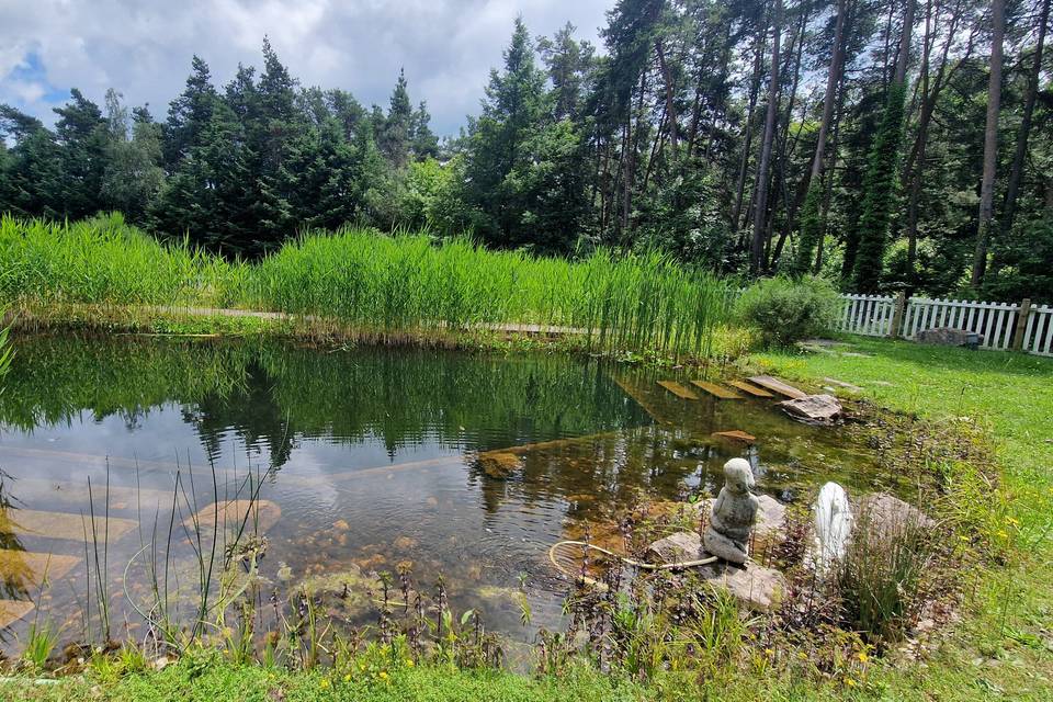 Piscine naturelle