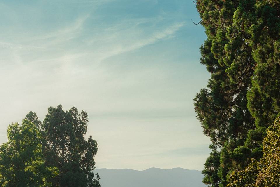 Parc des Eaux-Vives