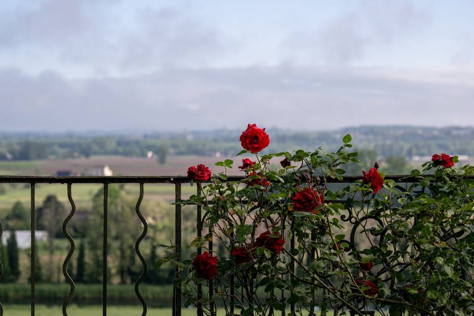 Une vue époustouflante
