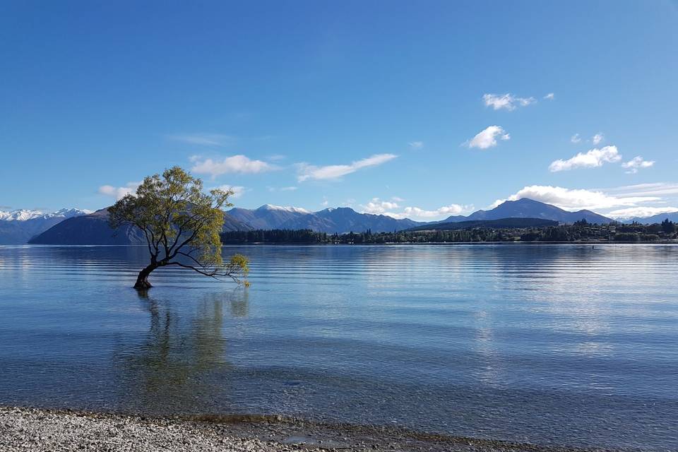 Wanaka - Nouvelle Zélande