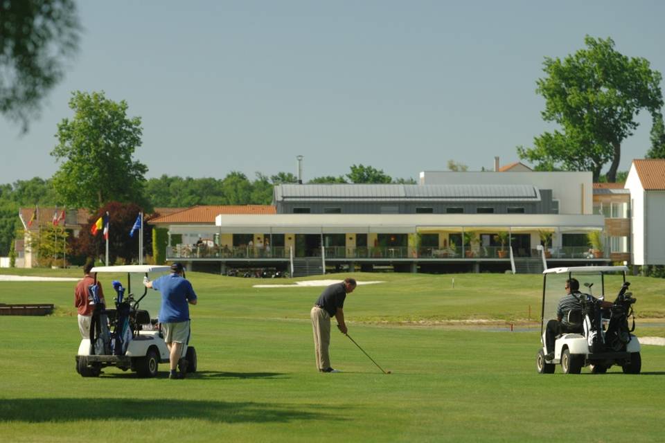 Golf brasserie