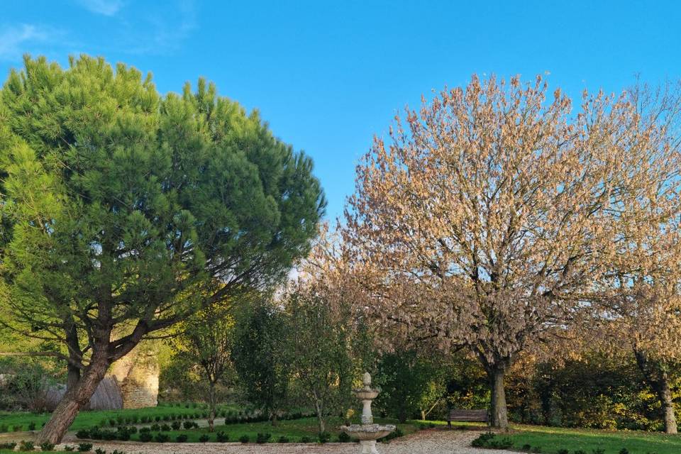 Jardin intérieur