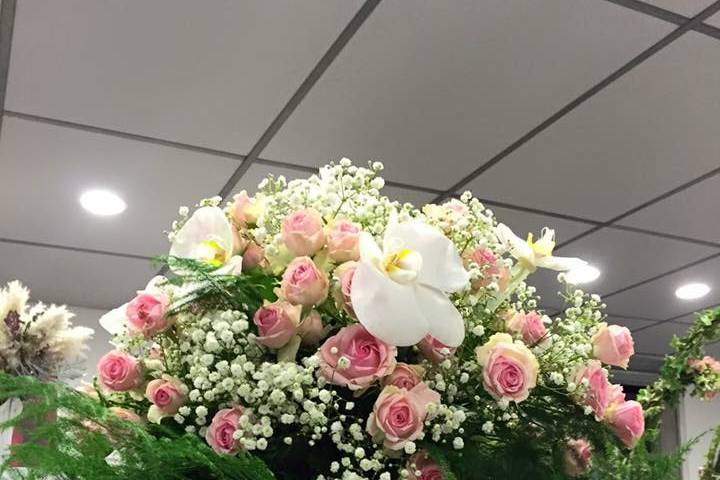 Pertuis Fleurs