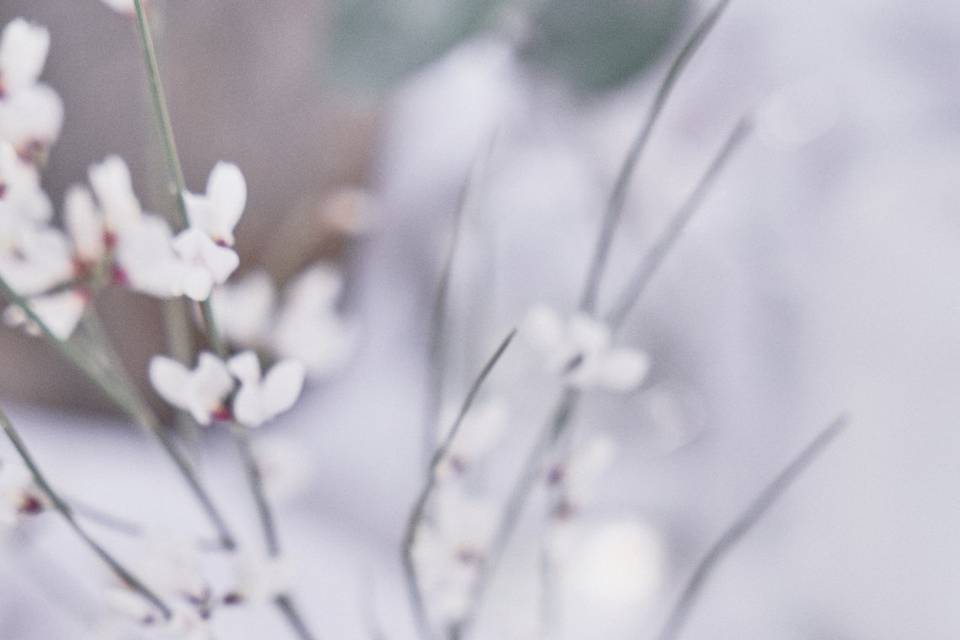 Fleurs mariage