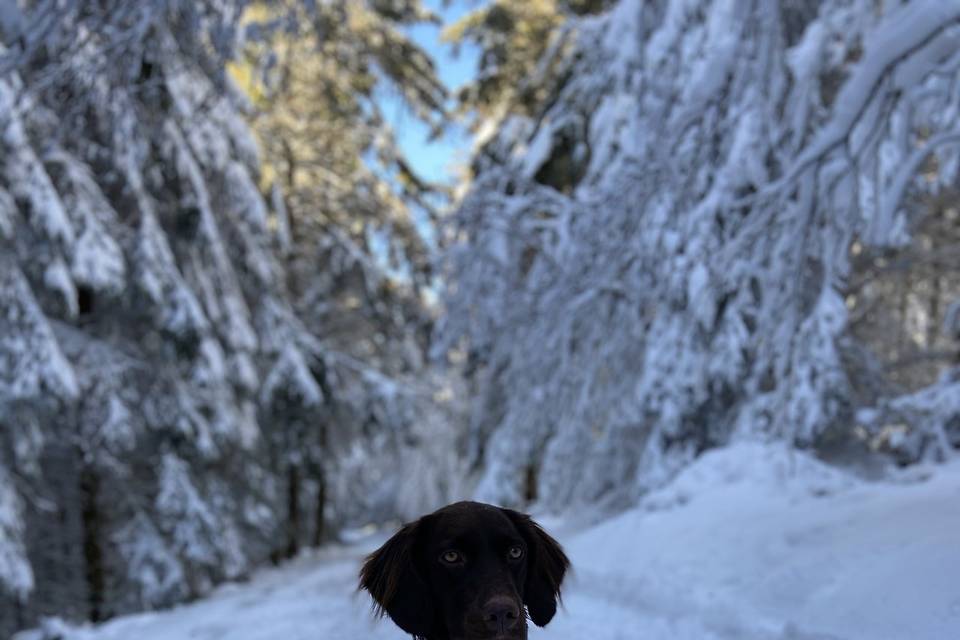 Vive la neige !