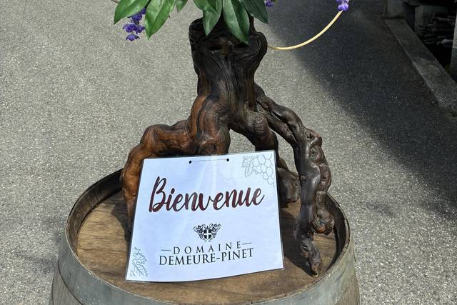 Bienvenue au Domaine