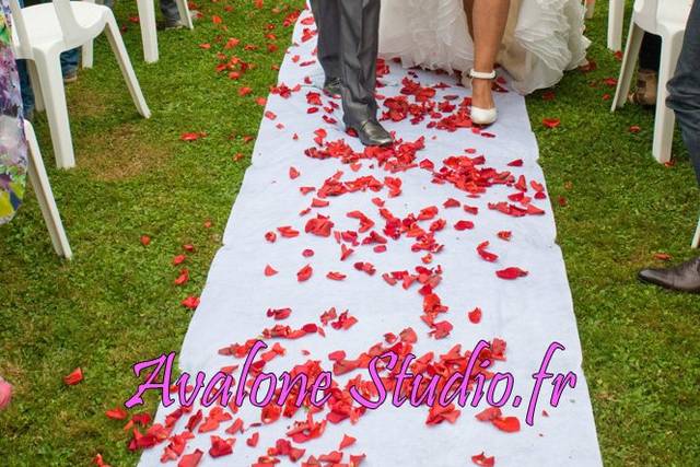 Mariage septembre 2013