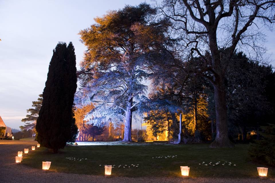 Le parc de nuit