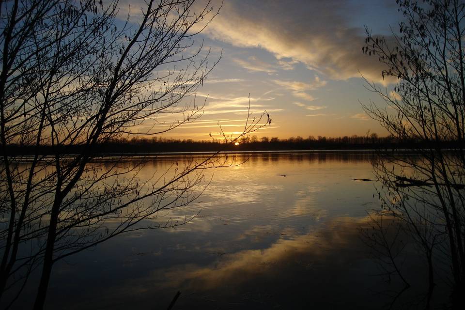 Soleil couchant sur l'étang