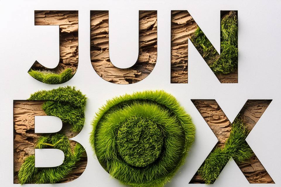 Jungle box