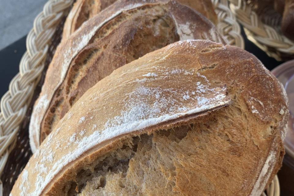 PAin levain