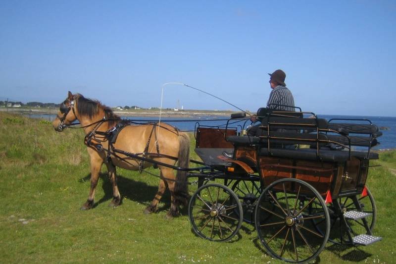 Promenade en bord de mer