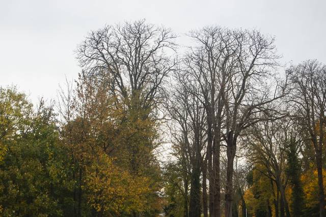 Mercedes E63 S Final Edition