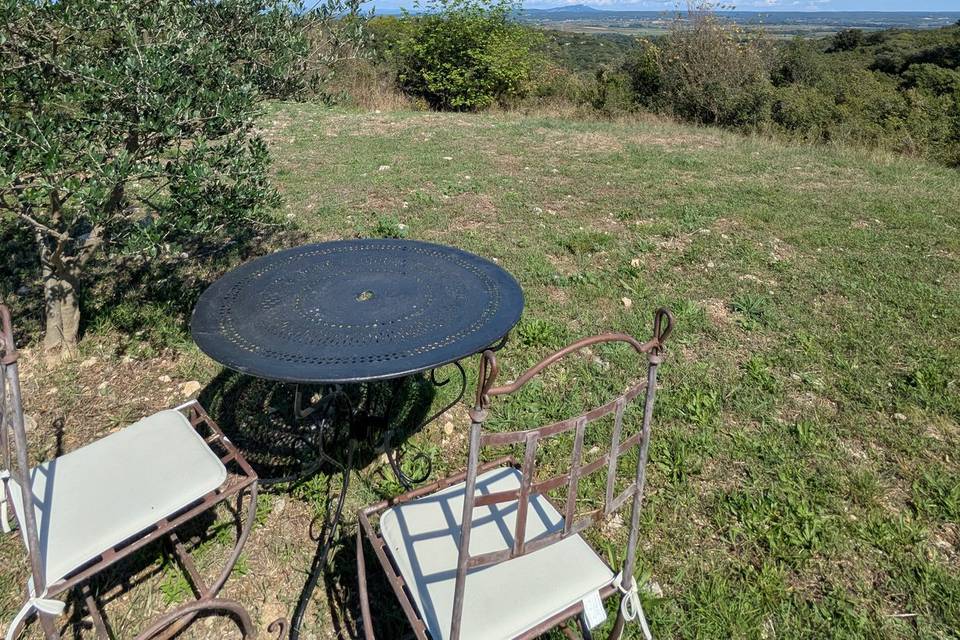 Vue garrigue
