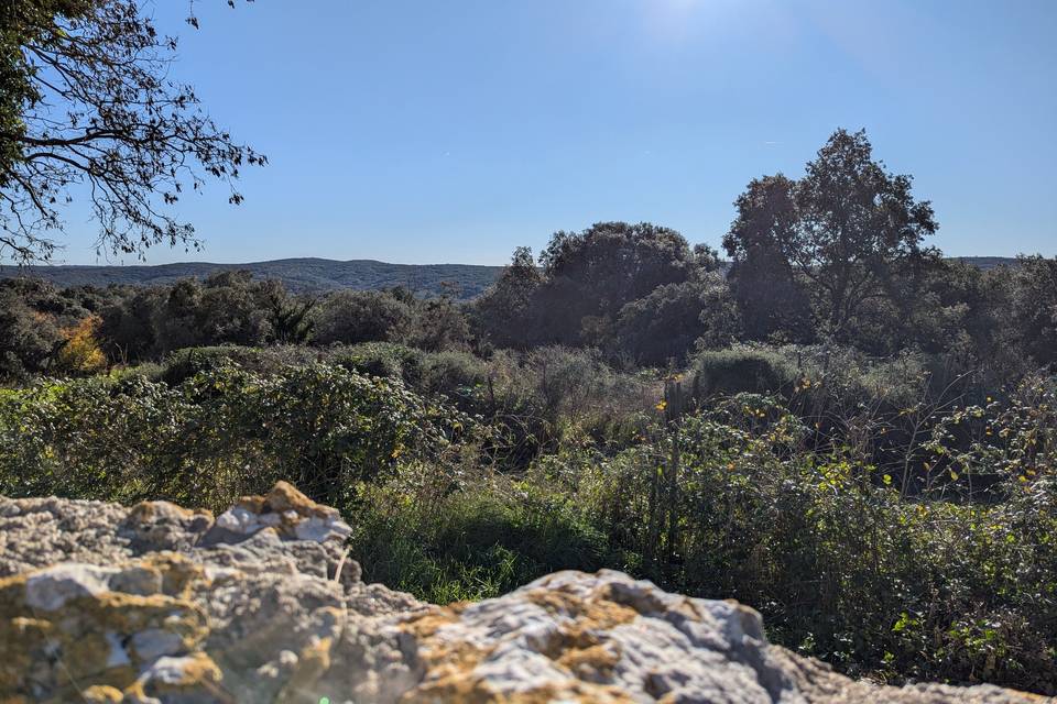 Vue garrigue