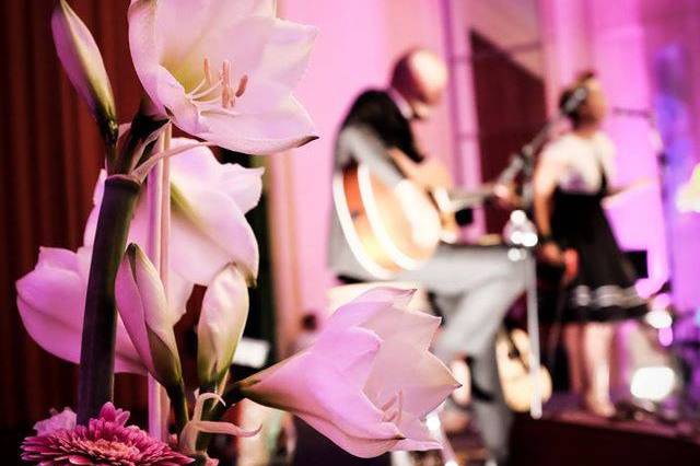 Un beau mariage à Toulouse