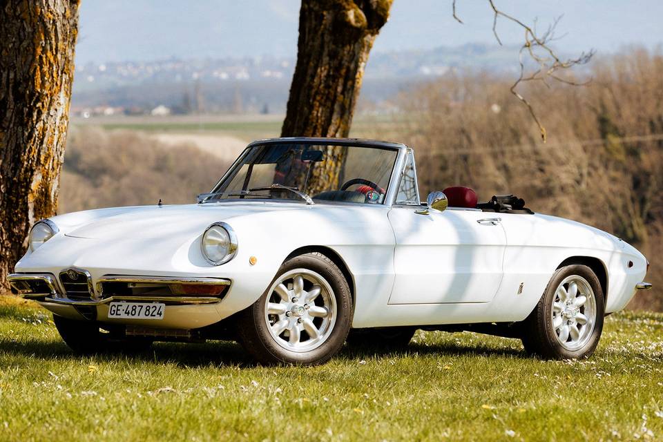 Alfa Romeo 1750 Spider Veloce