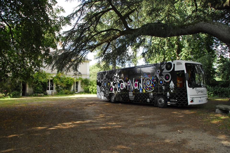 Bus dans les bois