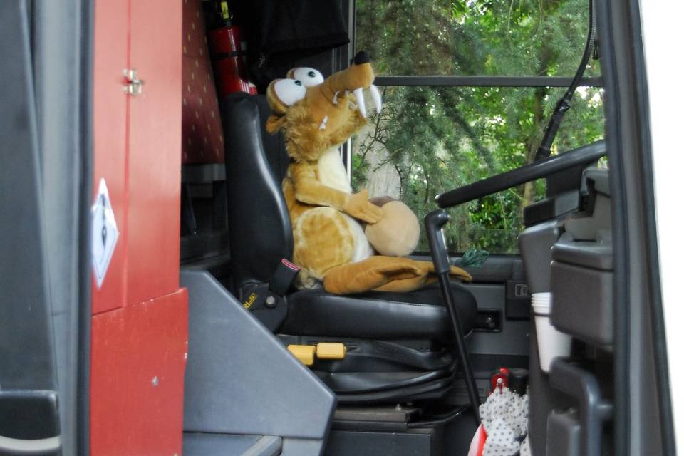 Le conducteur  du bus