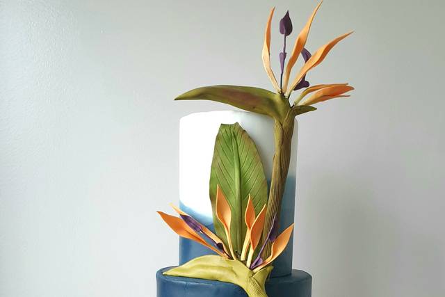 Douceur cake studio