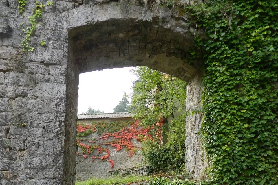 Cascade
