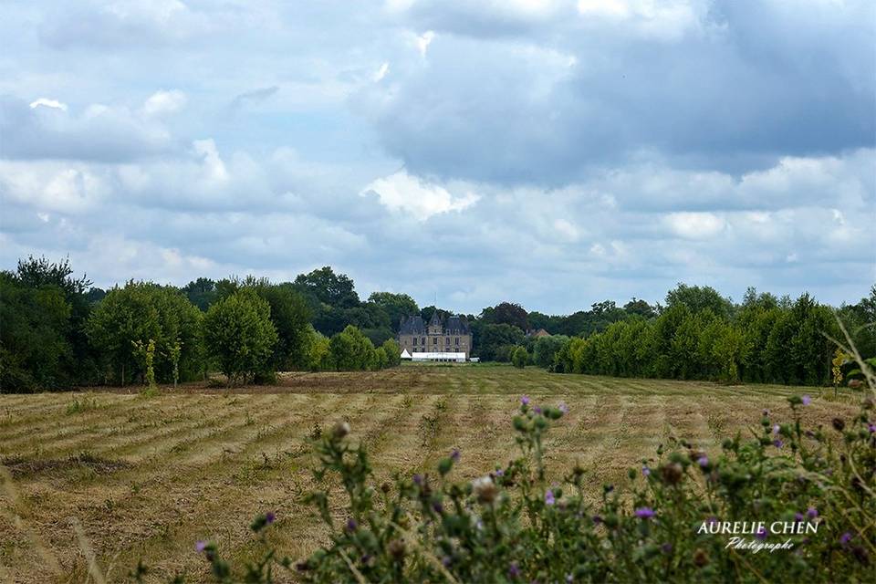 Chapiteau parc réception