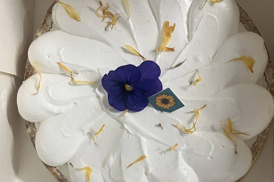 SunZest : Tarte citron