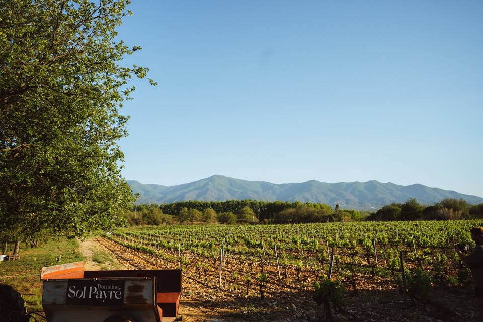 Domaine Sol Payré
