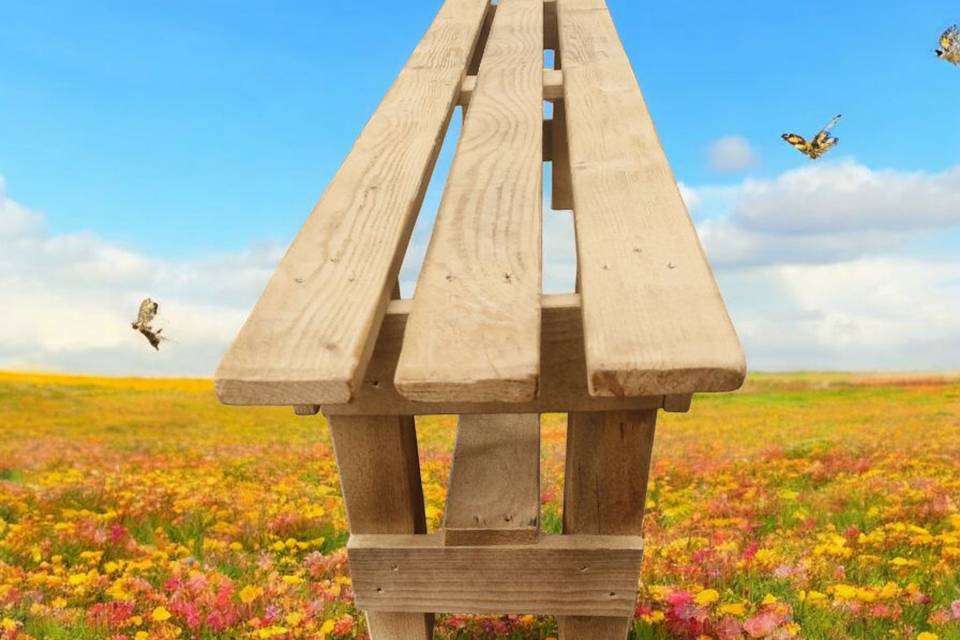 Banc cérémonie