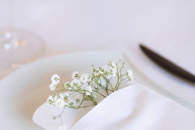Blanc et élégant