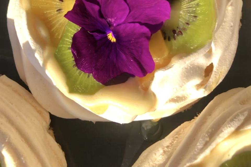 Pavlova duo kiwis