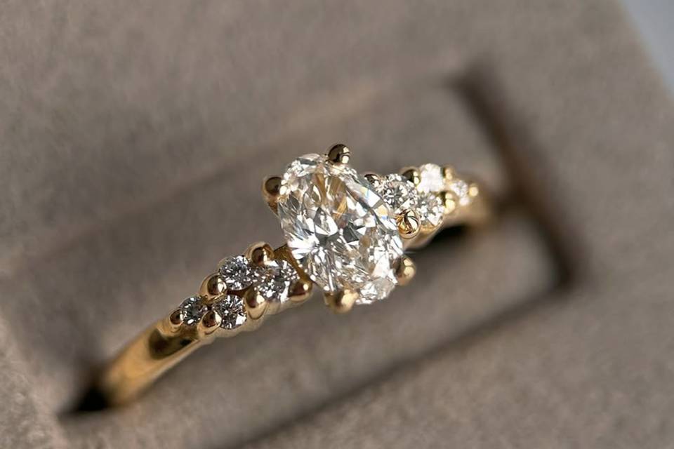 Notre solitaire or jaune