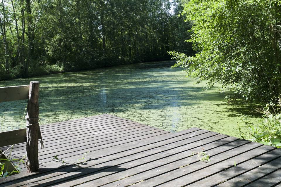 Le Domaine de Rouilly le Bas