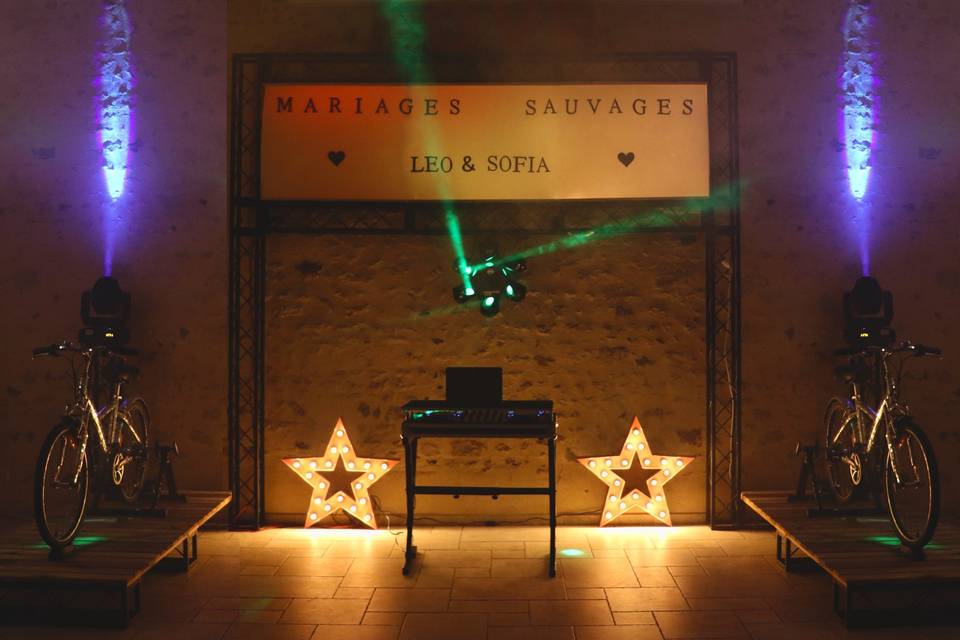 Mariages Sauvages - Dj écoresponsable